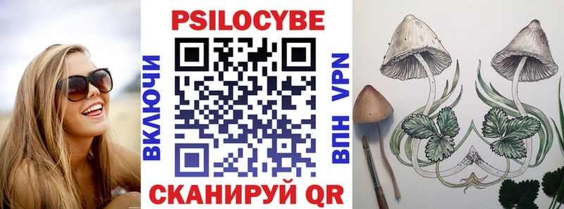 Галлюциногенные грибы Cubensis гидра зеркало Барнаул закладки
