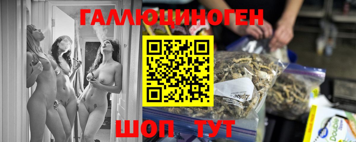 Галлюциногенные грибы Psilocybe  Вход с VPN  Барнаул  Галлюциногенные грибы прущие грибы 